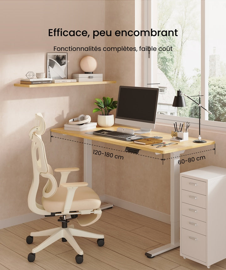 Bureau assis-debout basique double moteurs (E1 PRO)