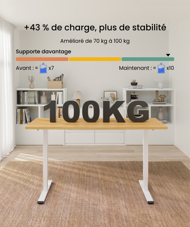 Bureau assis-debout basique double moteurs (E1 PRO)